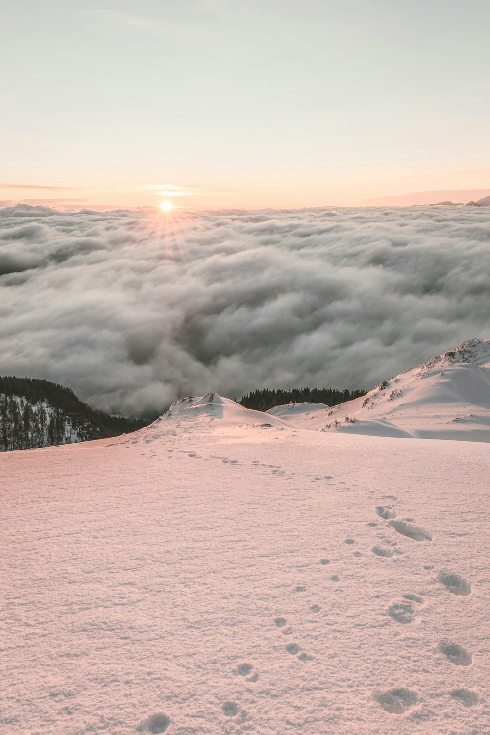 white clouds during golden hours