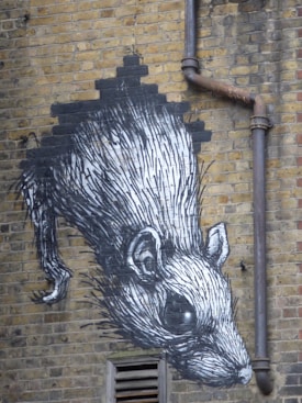 A black and white mural of a large rat is painted on a brick wall. The artwork has a rough, sketch-like texture, and the rat appears to be emerging from a section of black paint shaped like a wall opening. Rusty metal pipes run alongside it, emphasizing the urban setting.