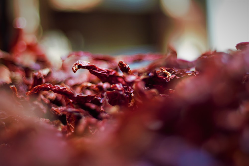 a pile of red lettuce sitting on top of a table