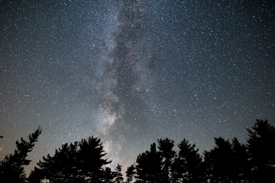 Milky Way With a Silhouette Forest