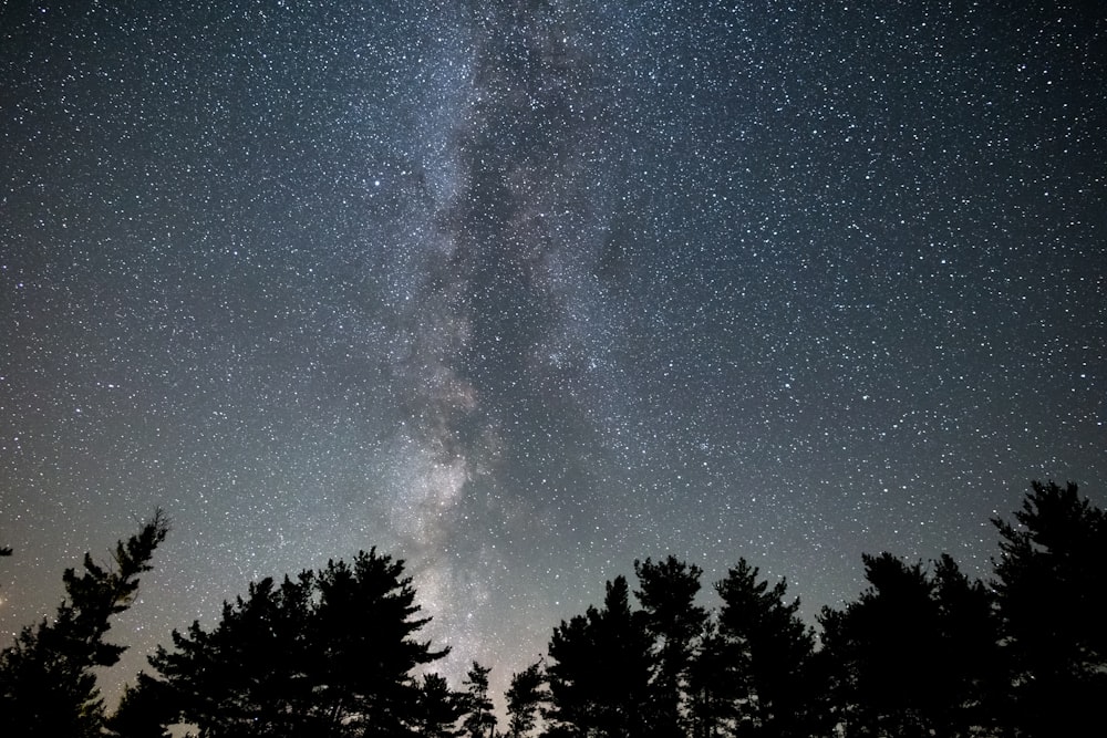 noche estrellada