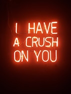 orange i have a crush on you neon light signage