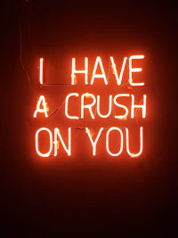 orange i have a crush on you neon light signage