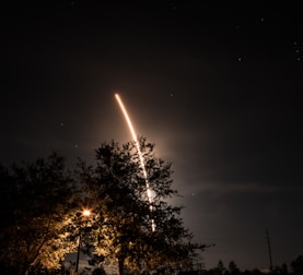 silhouette of tree during nighttime