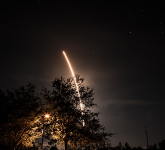 silhouette of tree during nighttime