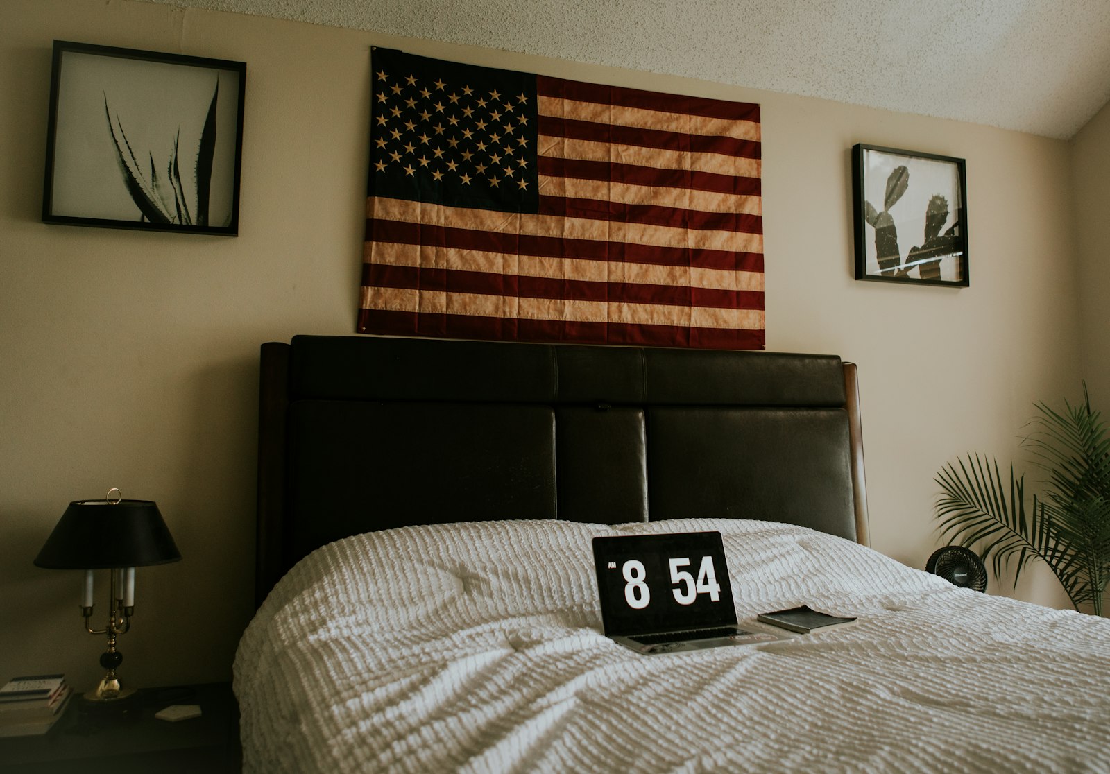 Sony a7R II + Canon EF 24-70mm F2.8L USM sample photo. Flag of u.s.a. on photography