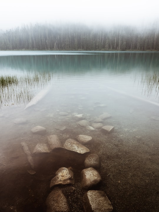 landscape photography of trees near body of water surrounded with fogs in Joffre Lakes Provincial Park Canada