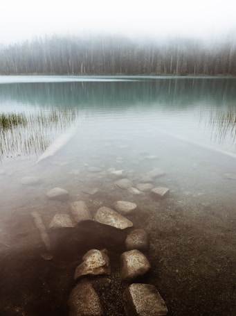 A serene landscape featuring a calm lake with clear water showing submerged rocks. The lake is surrounded by a dense forest, with trees partially obscured by a gentle mist. The scene conveys a peaceful and tranquil atmosphere.