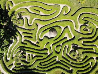 green and white maze illustration