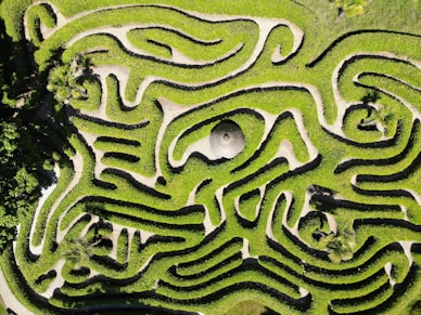 green and white maze illustration