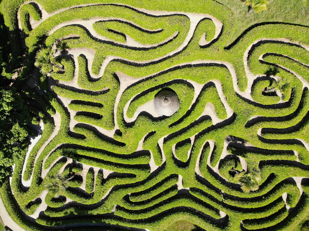green and white maze illustration