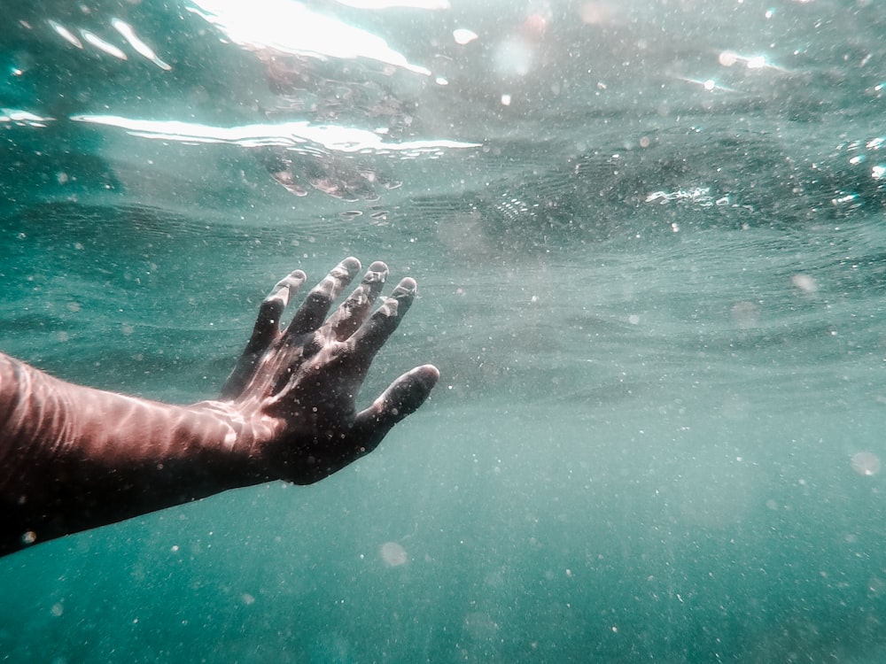 mano izquierda humana en el cuerpo de agua