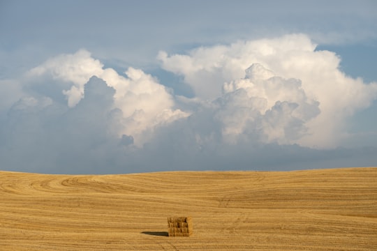 brown grass field under cloudy sky during daytime in Tuscany Italy