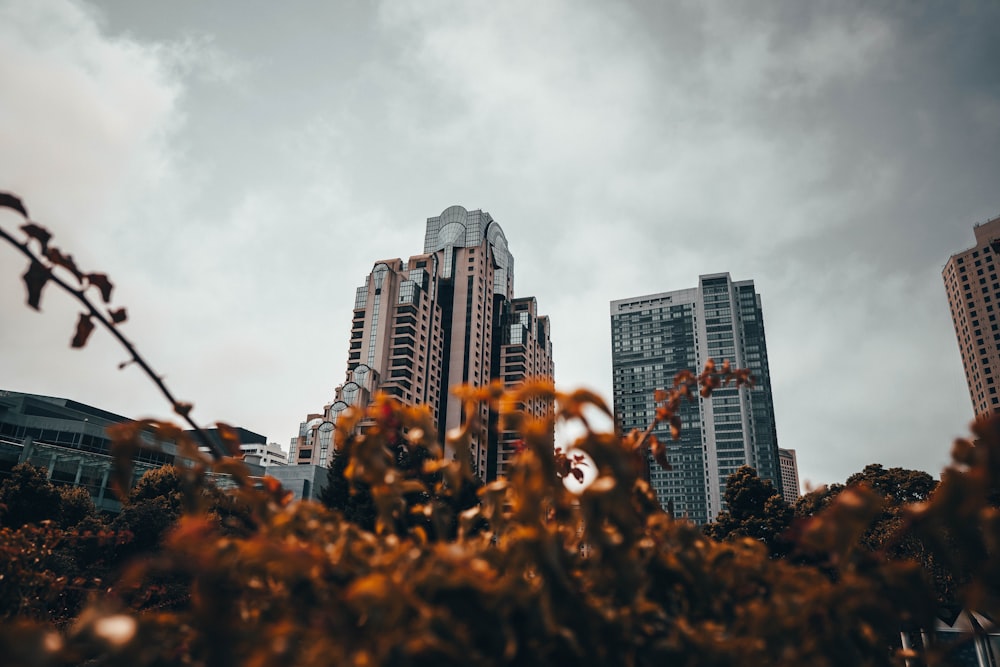 worm's-eye view of building under cloudy sky