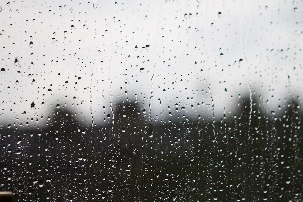 water dew on glass surface during dayttime