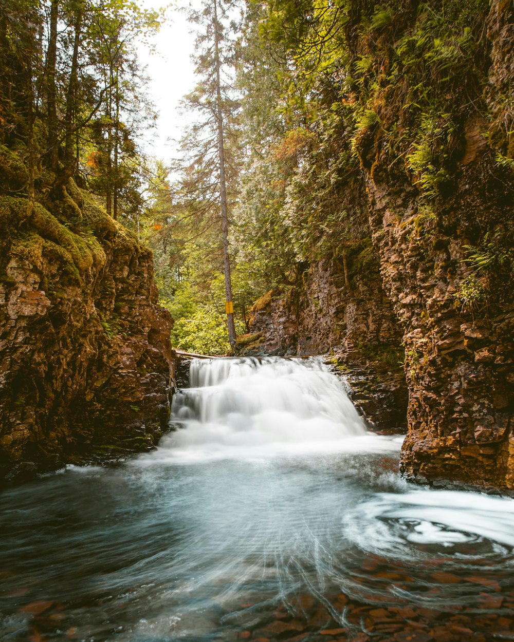 landscape photography of river