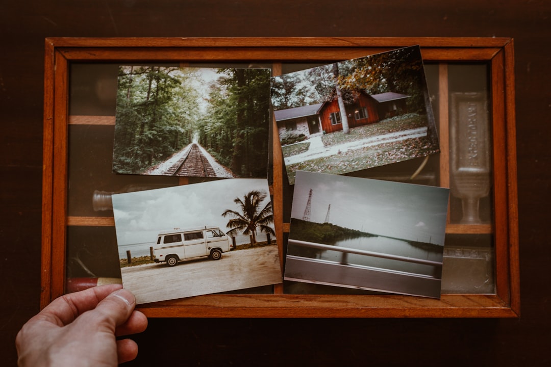 person holding four photos