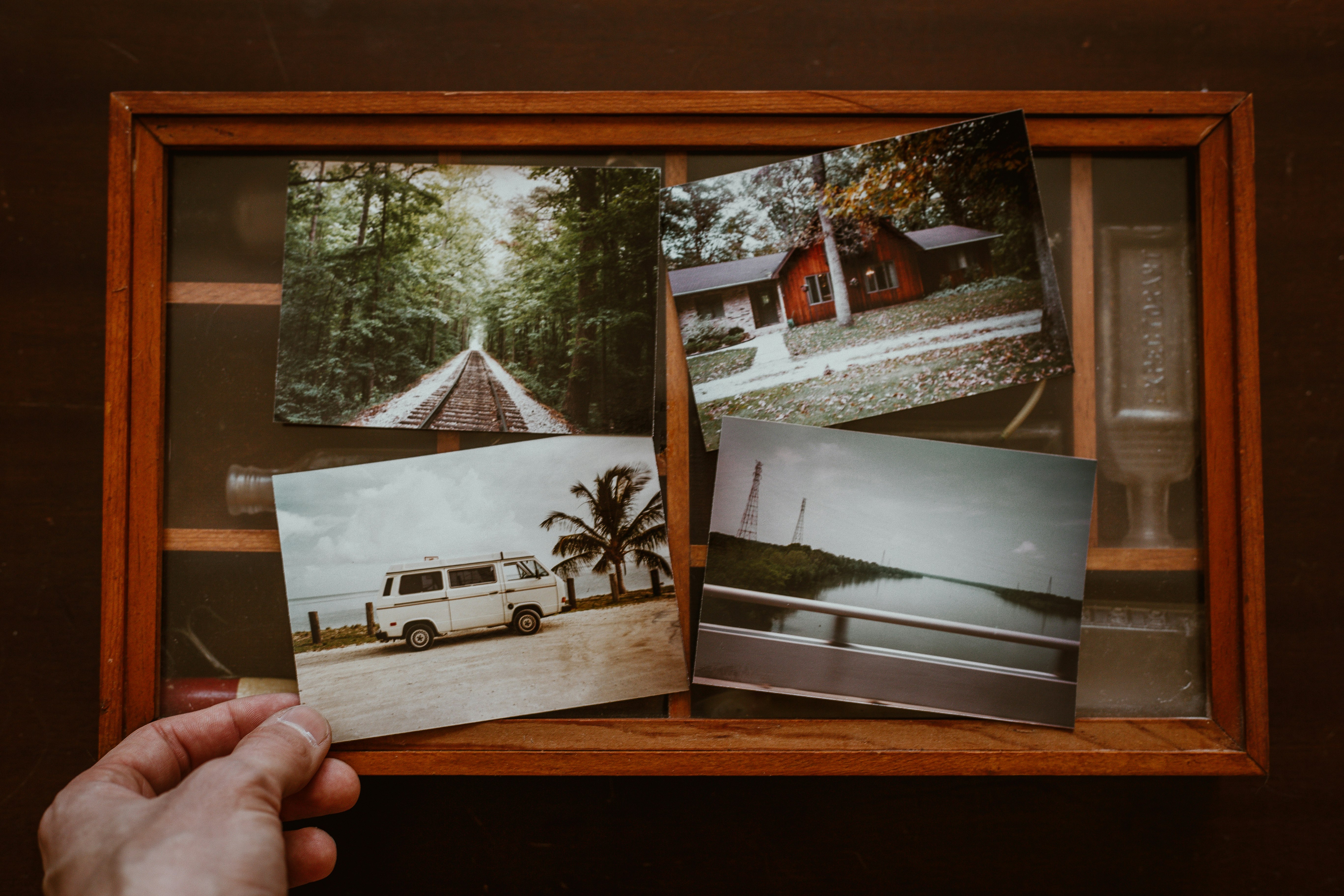 person holding four photos