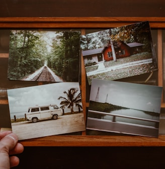 person holding four photos