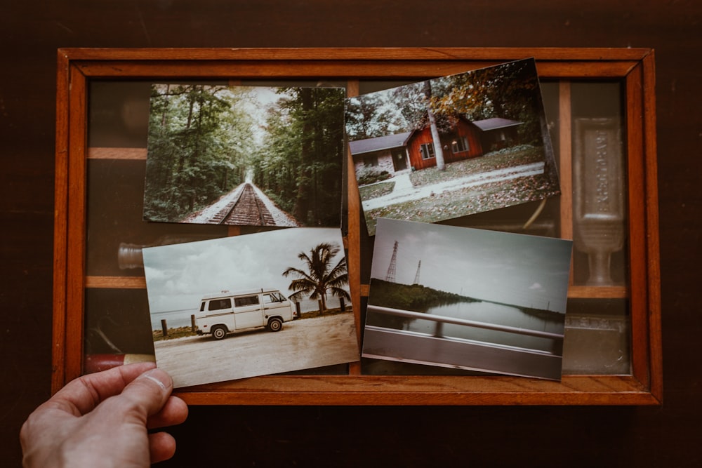 person holding four photos