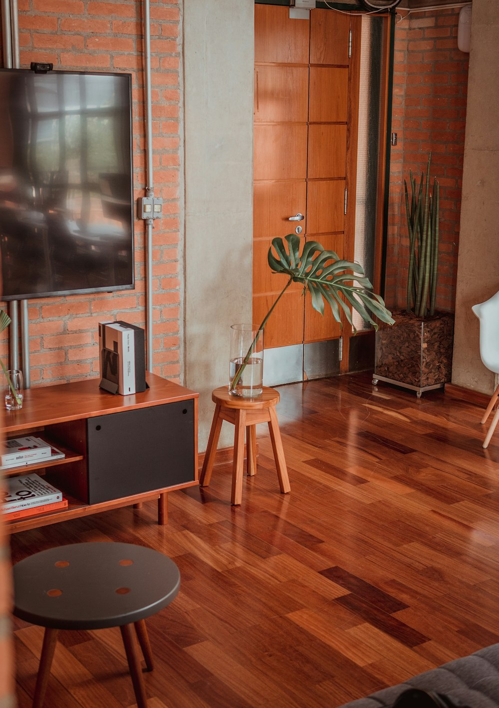 TV de pantalla plana cerca de una planta de hojas verdes