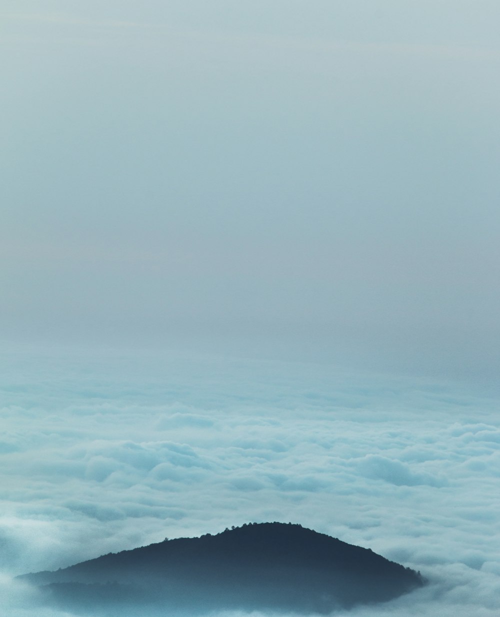 緑の山を抜ける雲海