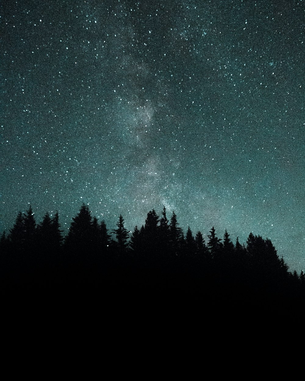 silhouette of trees over horizon during nighttime