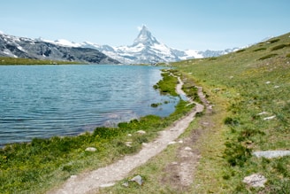 body of water near green grass