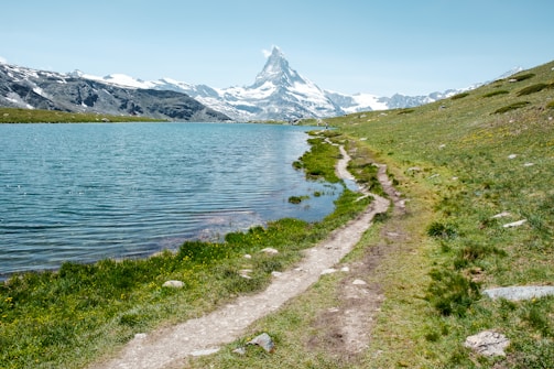 body of water near green grass