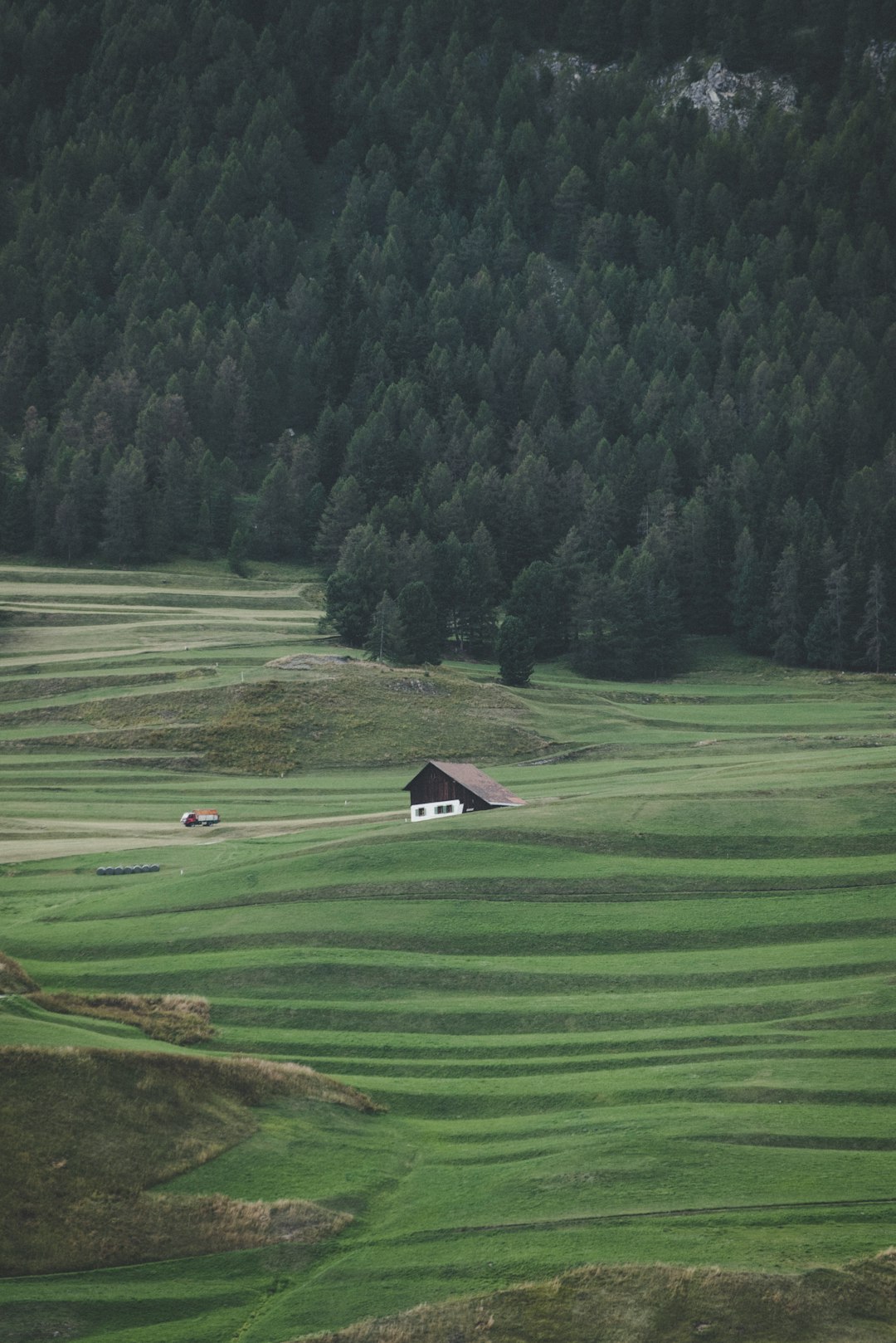 Plain photo spot Via San Gian Switzerland