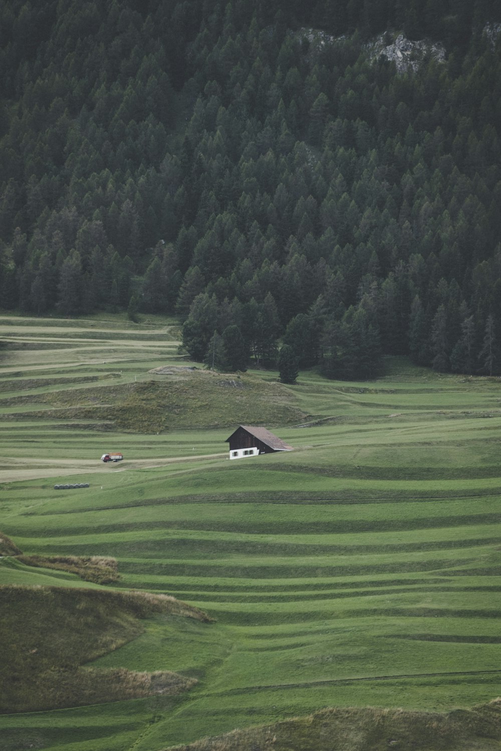 house on grass field near tree during daytime