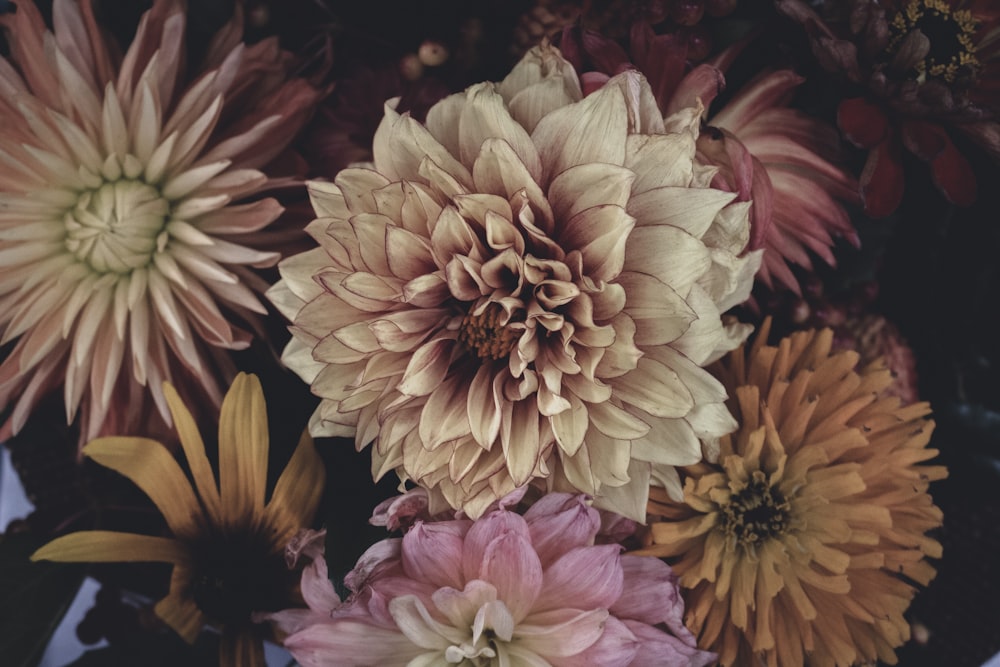 assorted-color flower arrangement