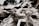A collection of driftwood with intricate, twisted shapes and textures. The wood appears bleached and weathered, with fibers and knots visible. In the background, there are blurry, dark silhouettes of trees and a light sky.