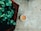 A white cup filled with tea or coffee sits on a textured, light-colored stone surface. To the left, a clay pot with green mint leaves adds a natural contrast.