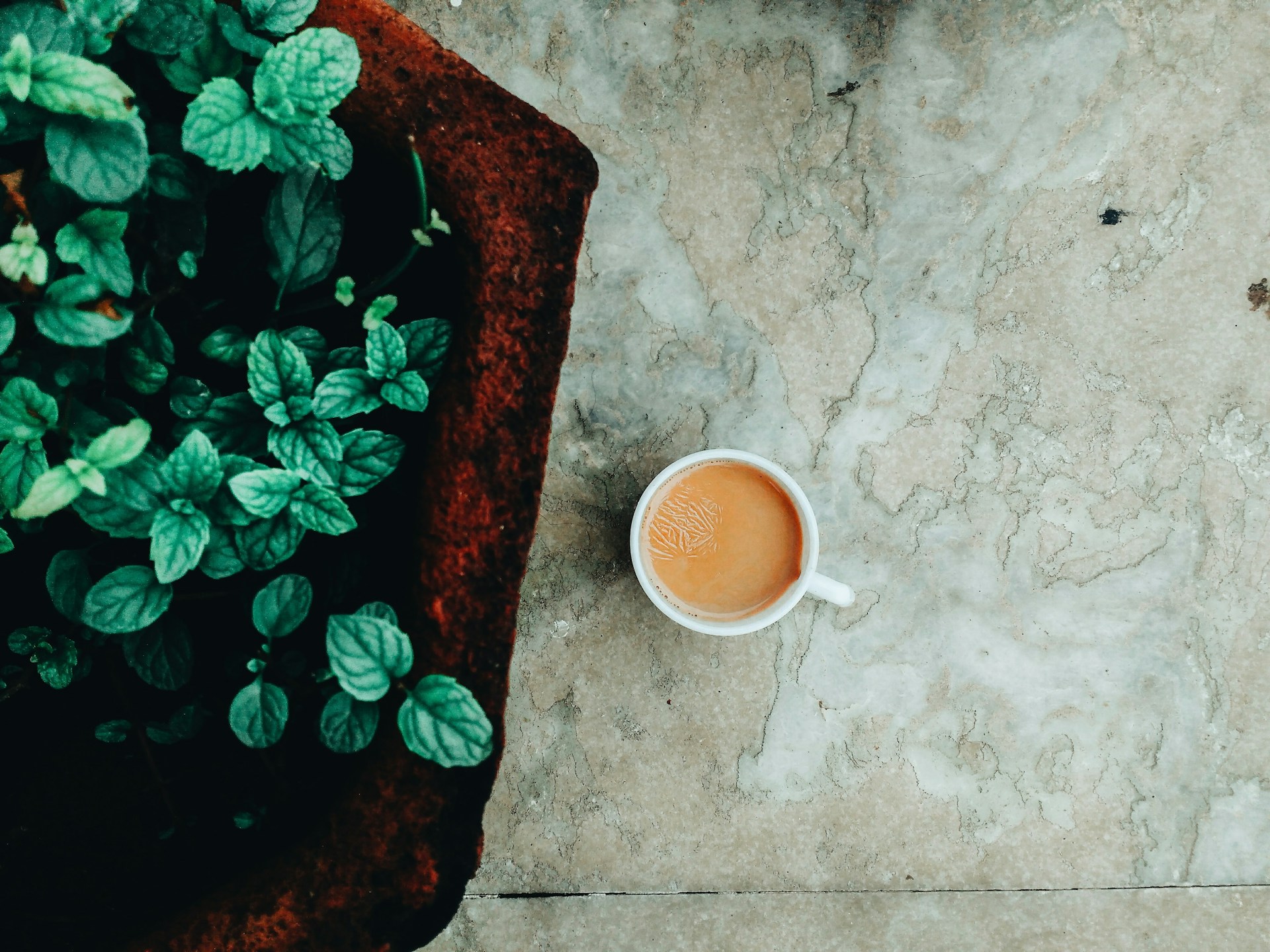 A white cup filled with tea or coffee sits on a textured, light-colored stone surface. To the left, a clay pot with green mint leaves adds a natural contrast.