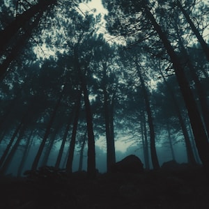 low-angle photography of trees during night time