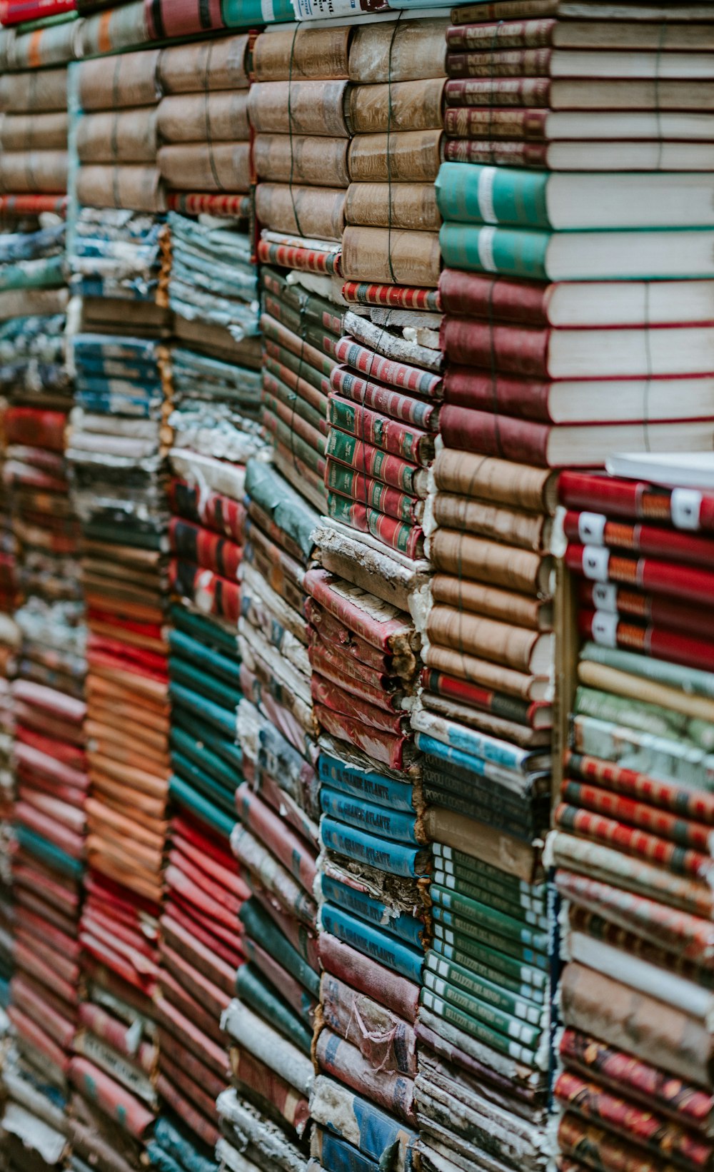 pile de livres de couleurs assorties