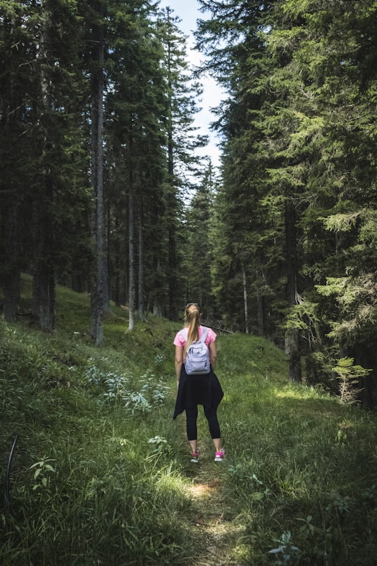 woman carrying backpack on forest in Rogla Slovenia