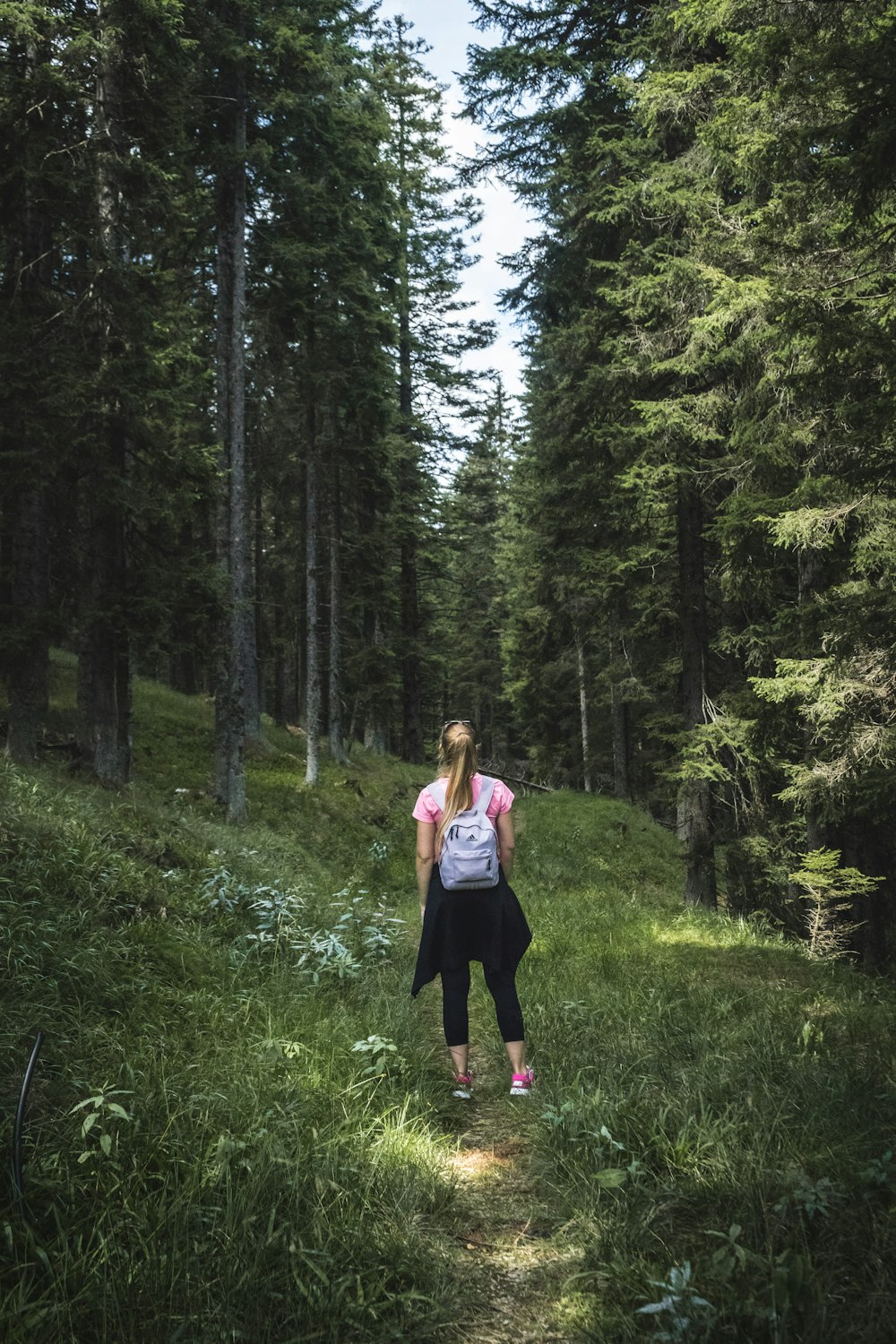 donna che trasporta lo zaino sulla foresta