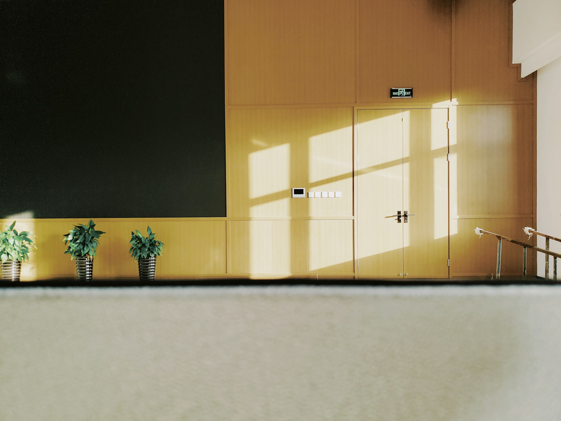 three plants in pots near brown wooden door