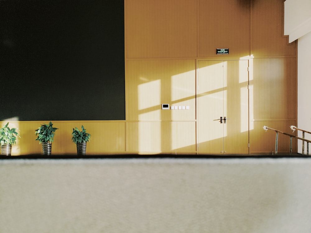 three plants in pots near brown wooden door