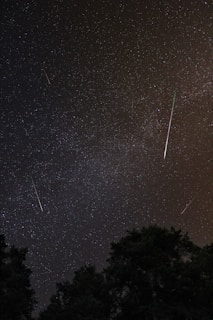 meteor shower on sky during nighttime
