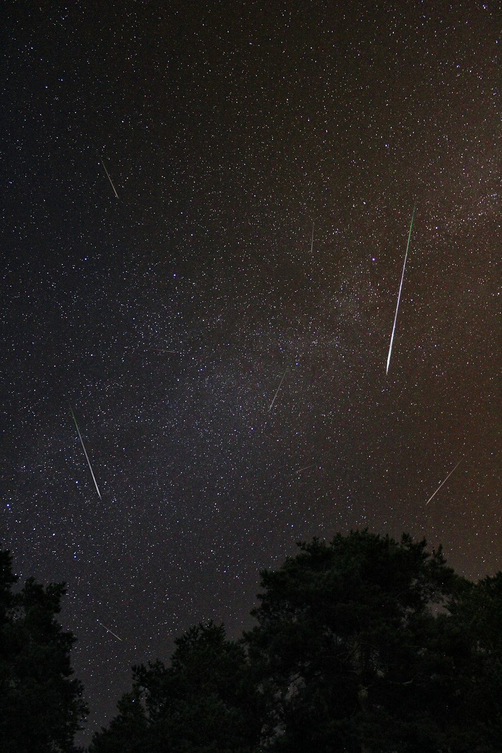 chuva de meteoros no céu durante a noite