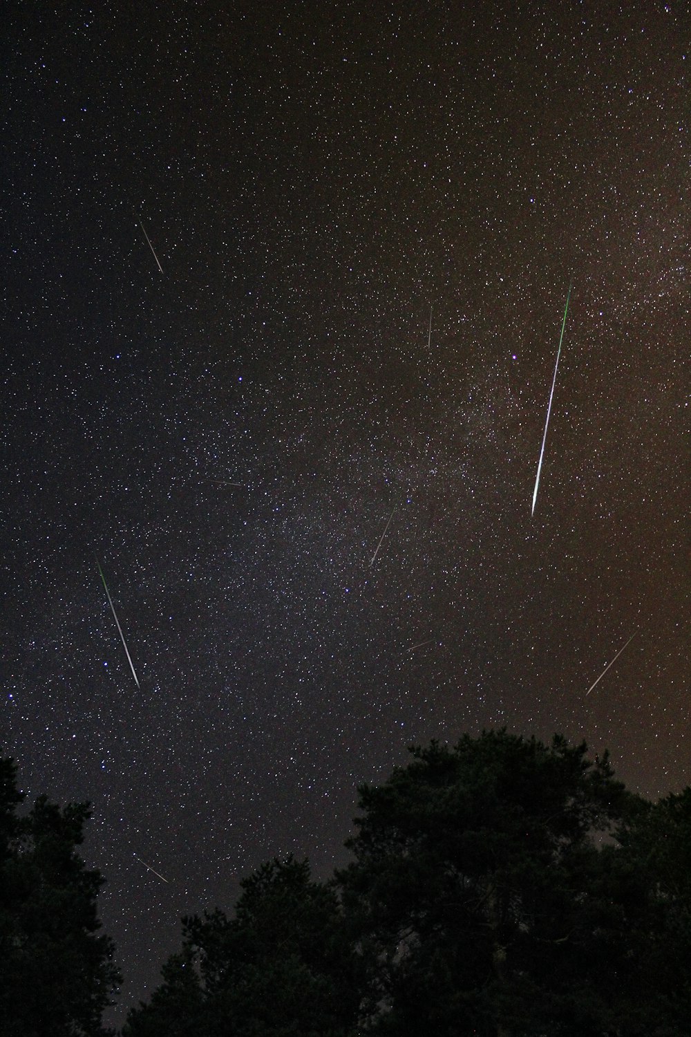lluvia de meteoritos en el cielo durante la noche