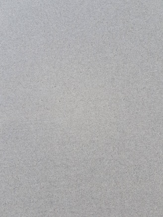 a bird is standing on the sand of the beach