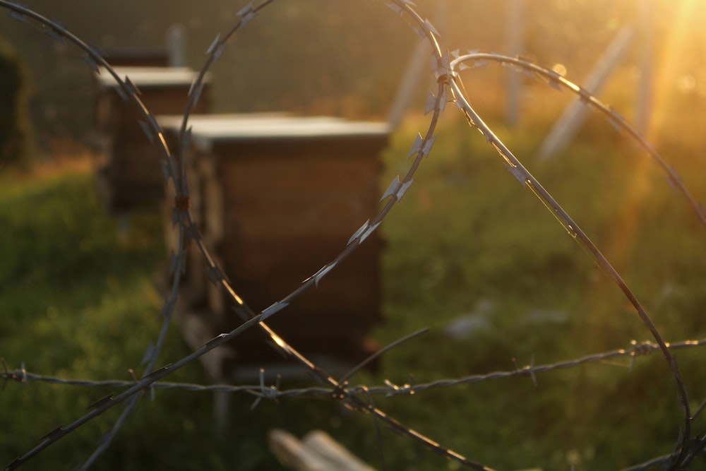 gray barbwire