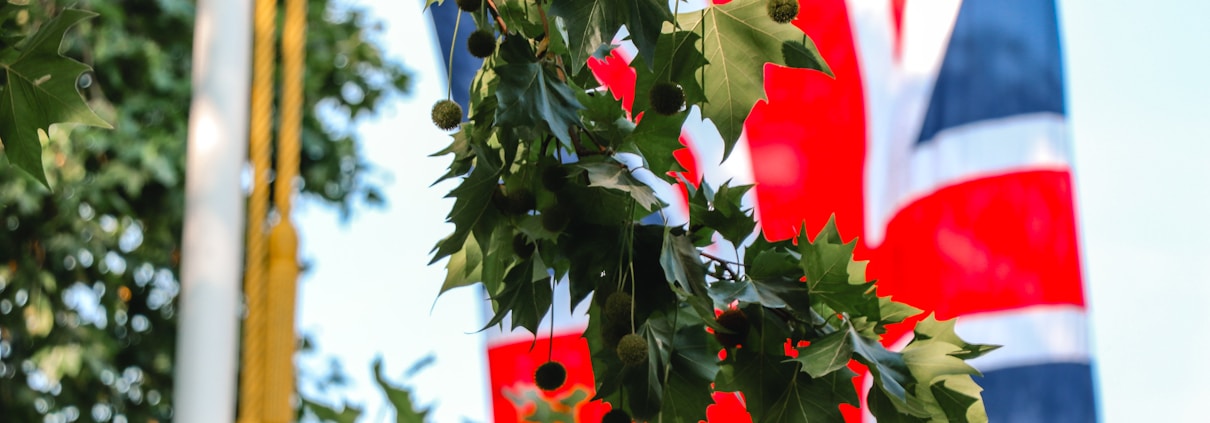 United Kingdom flag near green leaf tree during daytime