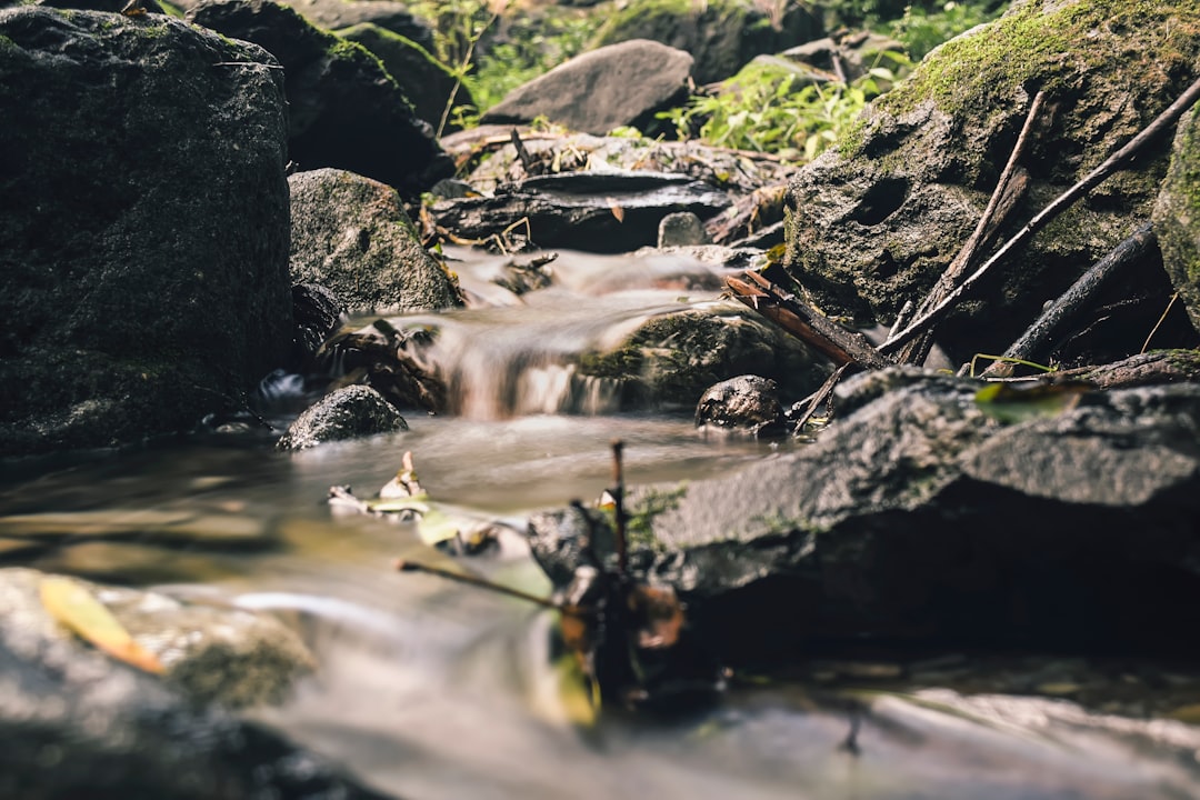 slow shutter photo of running water