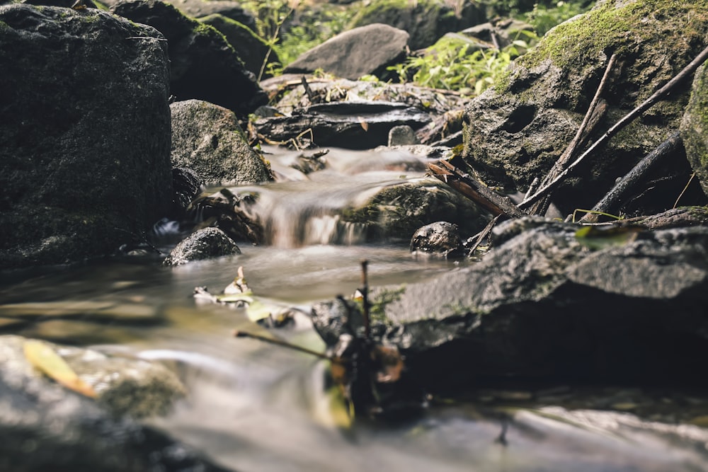 slow shutter photo of running water