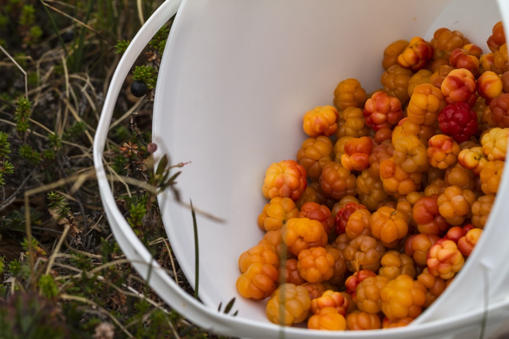 bunch of orange fruits on pail